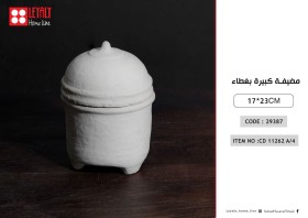 مضيفه كبيره بغطا